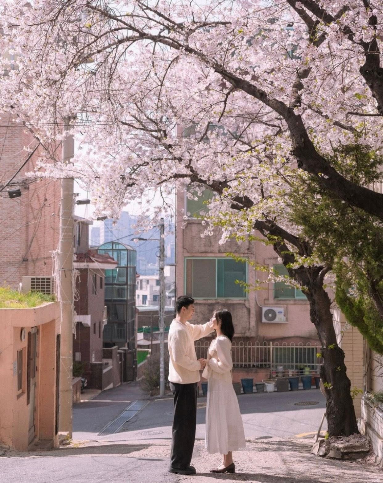 Bìa truyện CÚ ĐÁ DÀNH CHO ANH