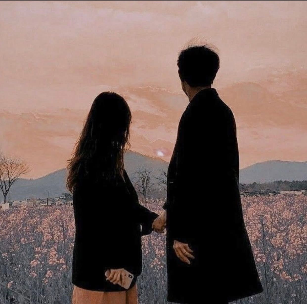 Bìa truyện KHÔNG CÒN TỐNG THANH HOAN NỮA