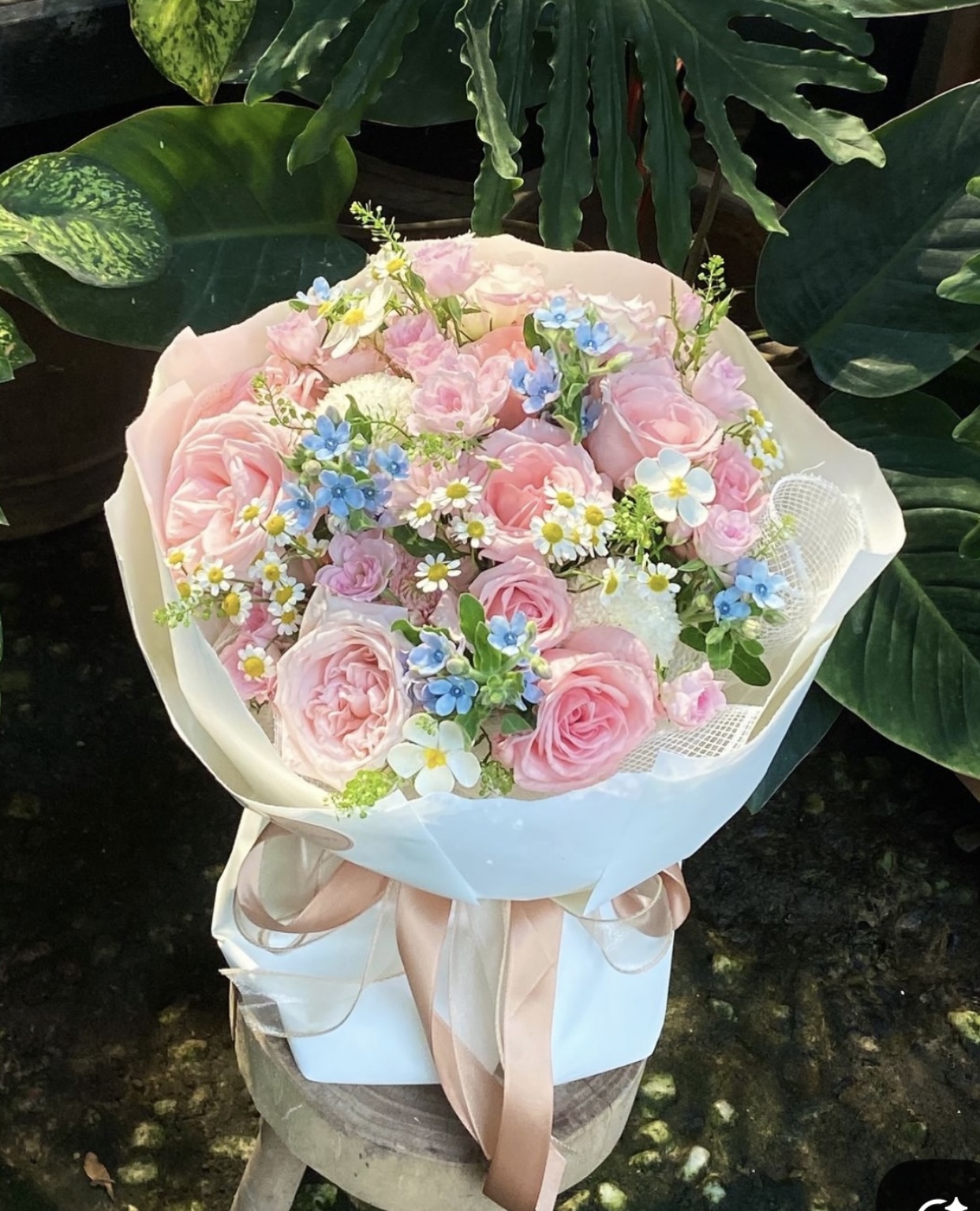 Bìa truyện TÁI HÔN VỚI KẺ THÙ KHÔNG ĐỘI TRỜI CHUNG