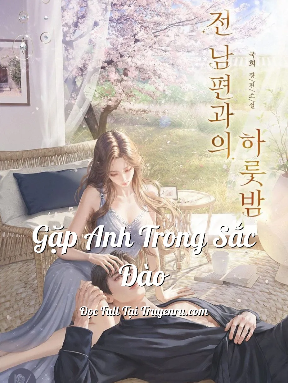 Bìa truyện Gặp Anh Trong Sắc Đào