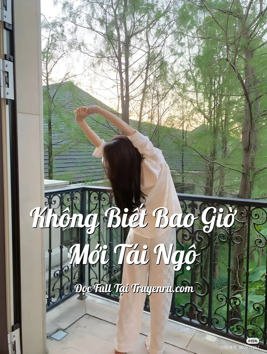 Bìa truyện KHÔNG BIẾT BAO GIỜ MỚI TÁI NGỘ
