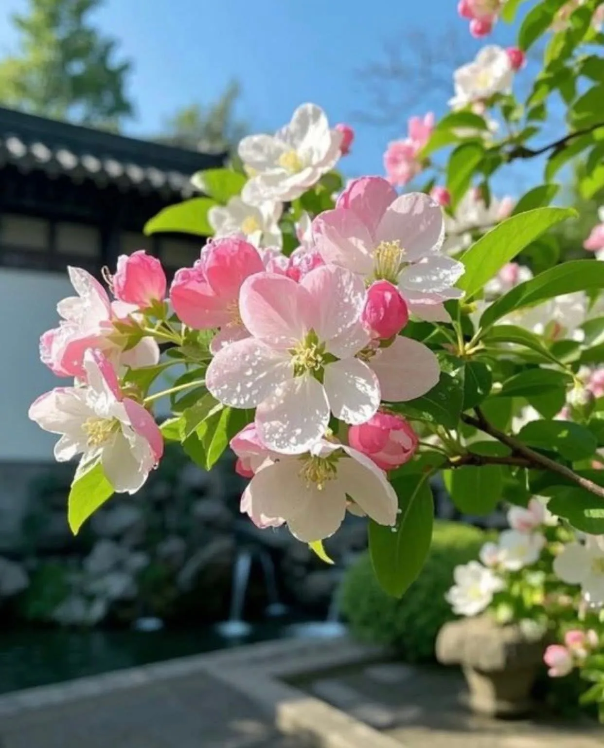 NGÀY TA ĐƯỢC BAN HÔN