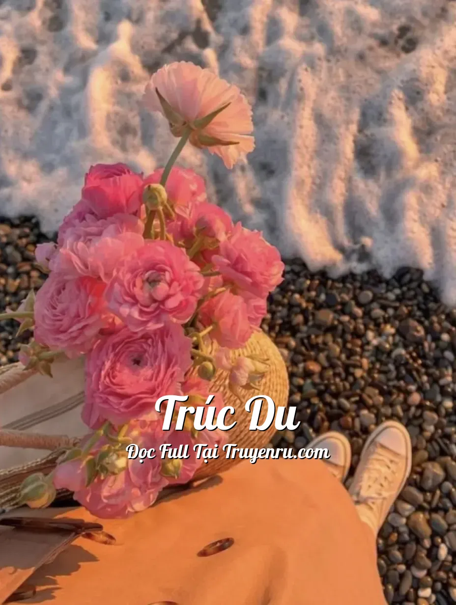 Bìa truyện TRÚC DU